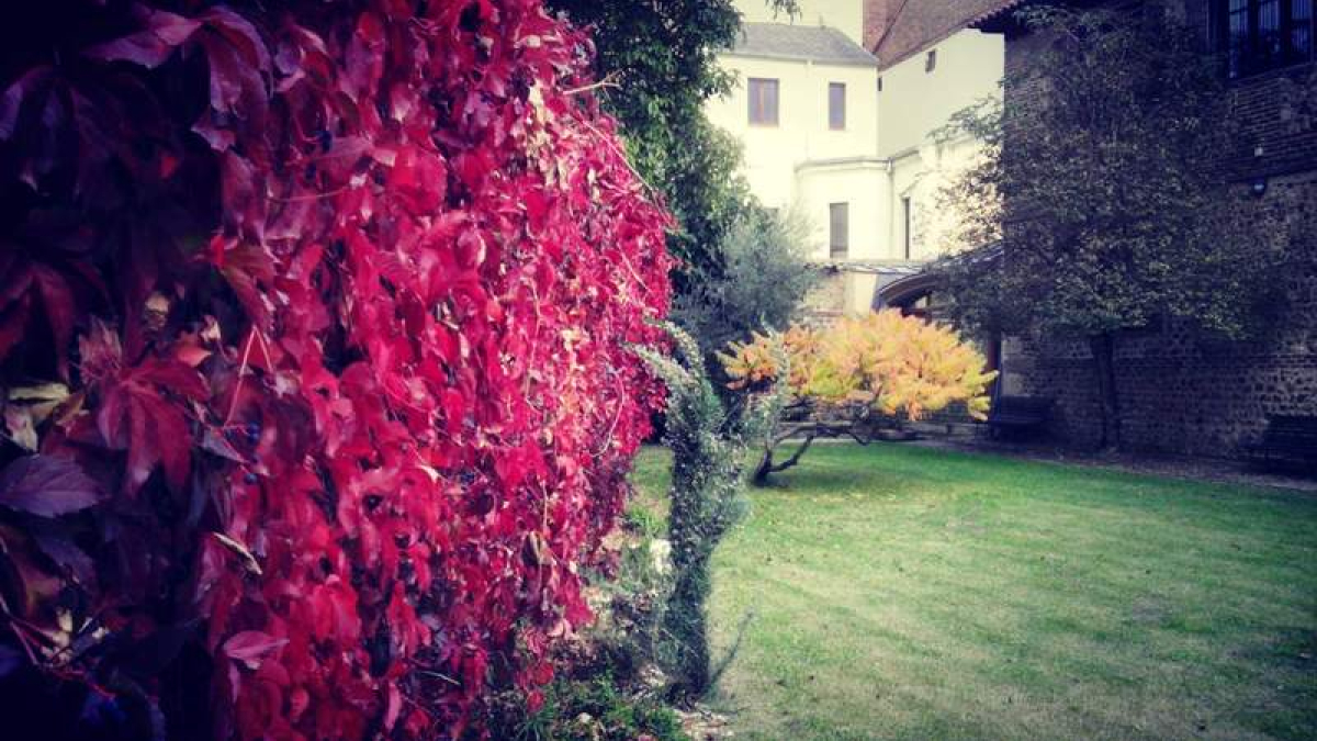 Algunos rincones de León albergan jardines particulares como el del Museo Sierra Pambley, a los pies de la Catedral de Santa María de Regla.