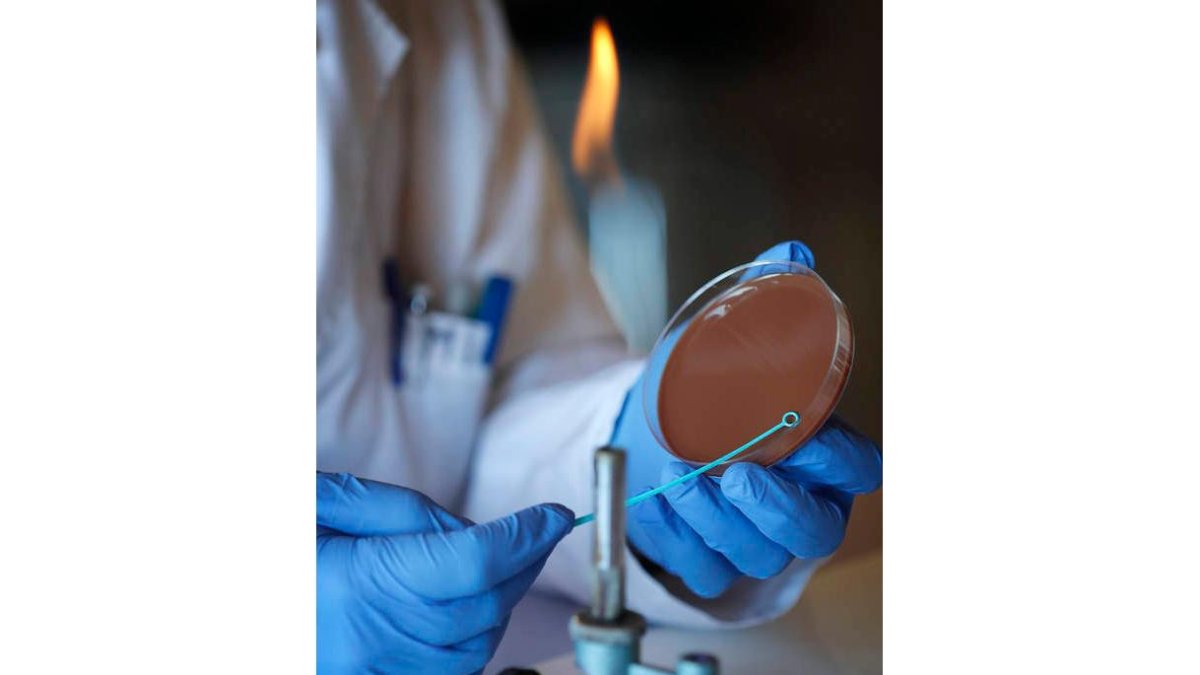Detalle de un laboratorio de investigación en León.  JESÚS F. SALVADORES
