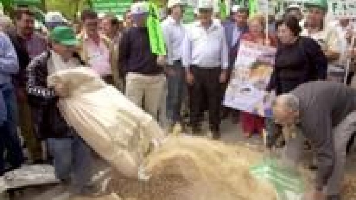 Cientos de agricultores se manifestaron ayer en Madrid en contra de la reforma de la PAC