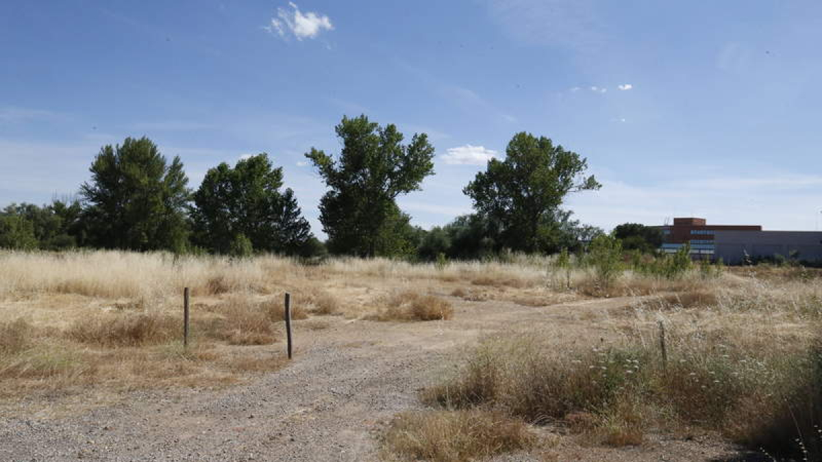 El sector supera los 432.000 metros cuadrados de terreno entre la ronda Este, el parque de La Granja y la ronda Este. RAMIRO