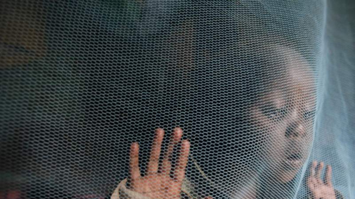 Los niños keniatas están entre los más afectados. STEVEN MORRISON