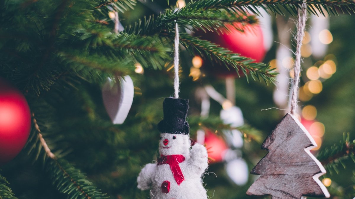 ¿Cuál es el árbol de Navidad en León más innovador para tener en casa?