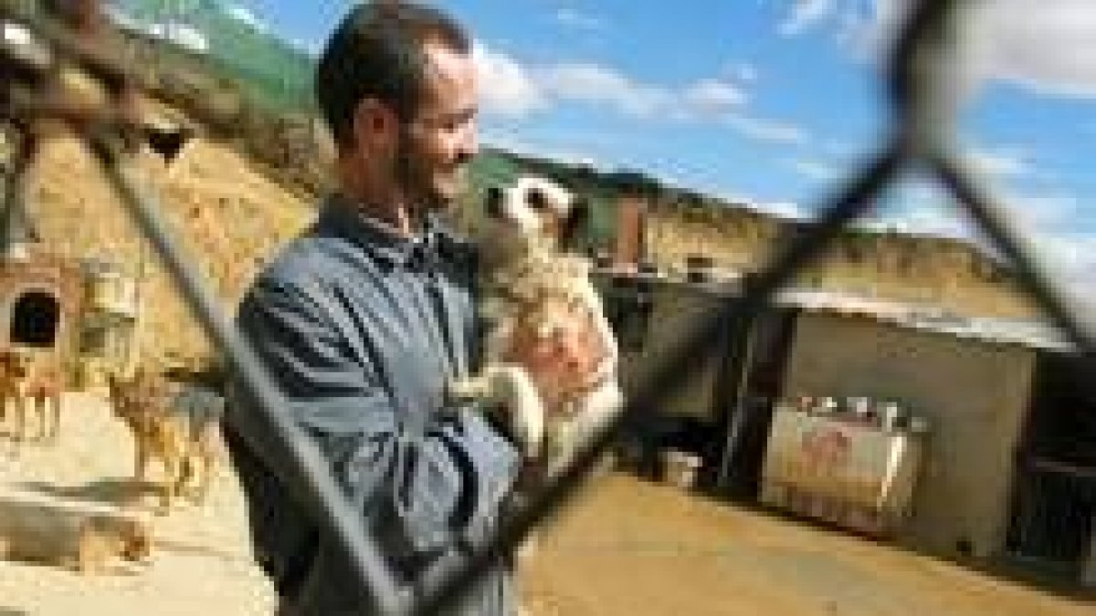 El presidente de la Asociación Snoopy rodeado de los perros en la protectora de Sahagún