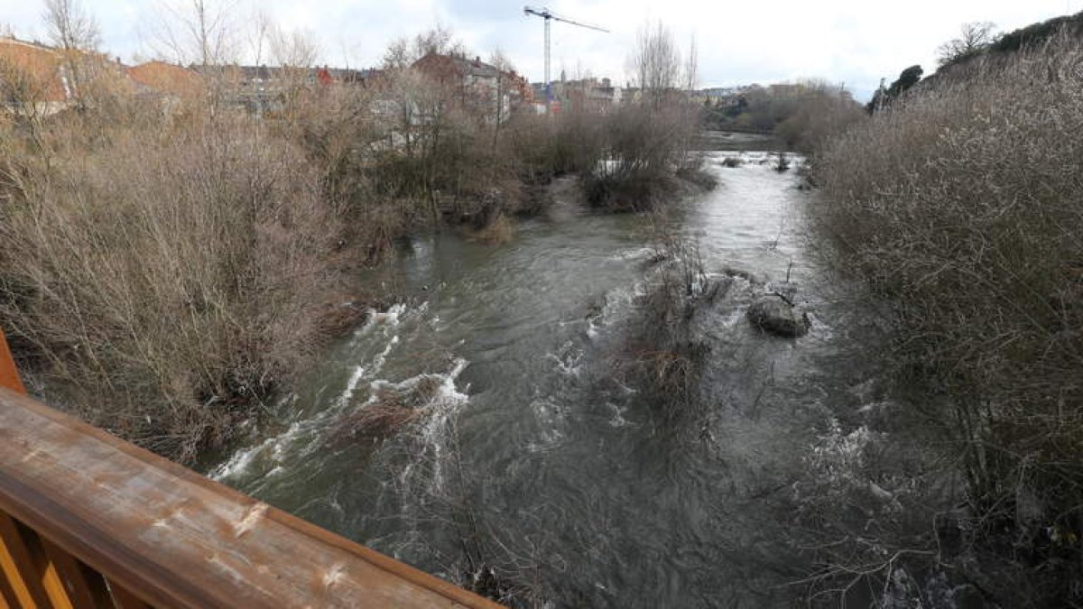 Estado actual que presenta los márgenes del río Sil a su paso por el barrio de Flores del Sil
