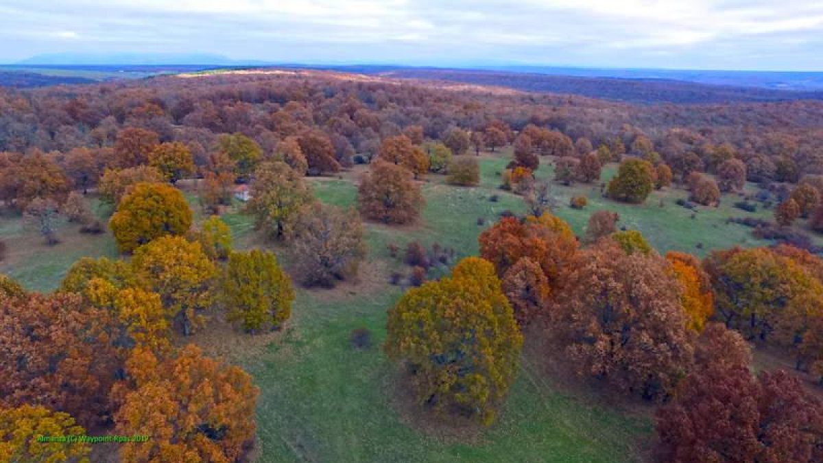 Vista a vuelo de dron del rebollar de Almanza.