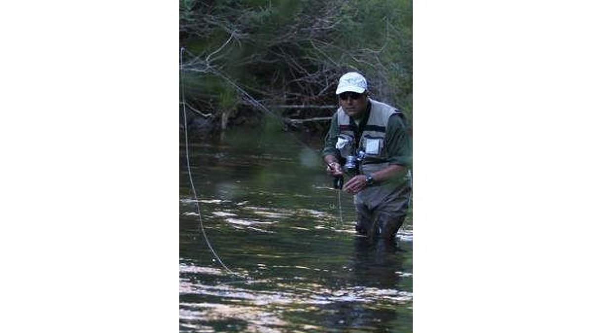 Un pescador tratando de capturar una trucha.