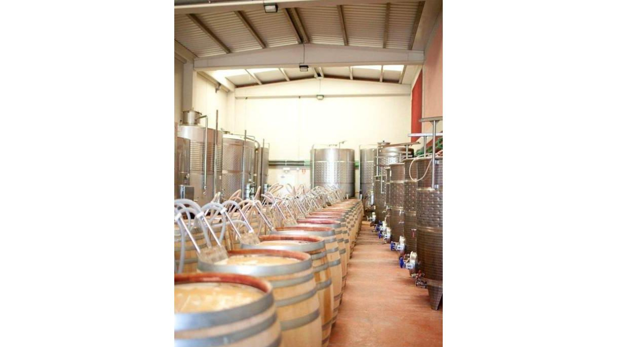 Las bodegas para las que trabaja Ossorio usan depósitos pequeños.
