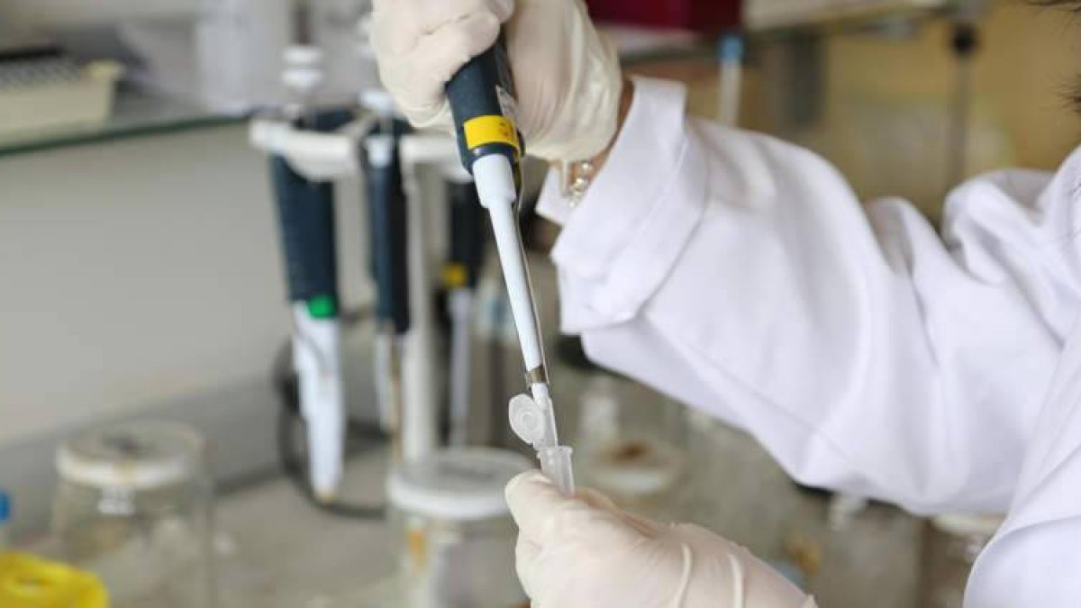 Imagen de uno de los laboratorios de la Universidad de León en el Campus de Vegazana.