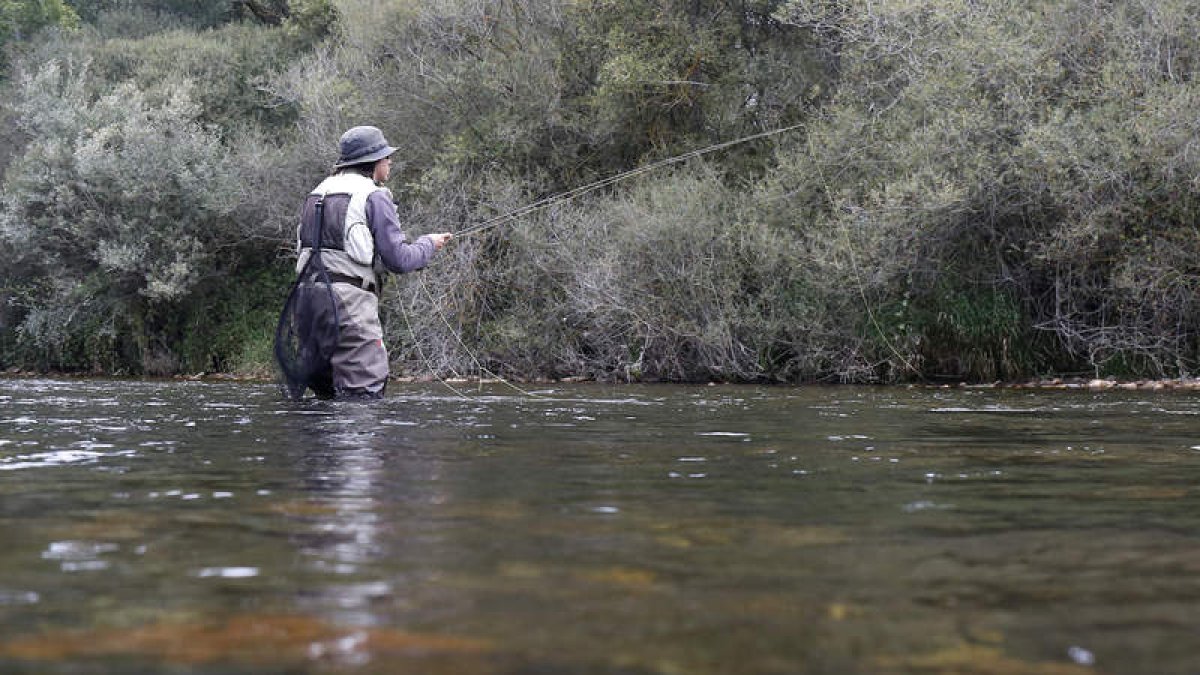 Los ríos leoneses siguen ofreciendo un escenario notable para la actividad de la pesca. FERNANDO OTERO
