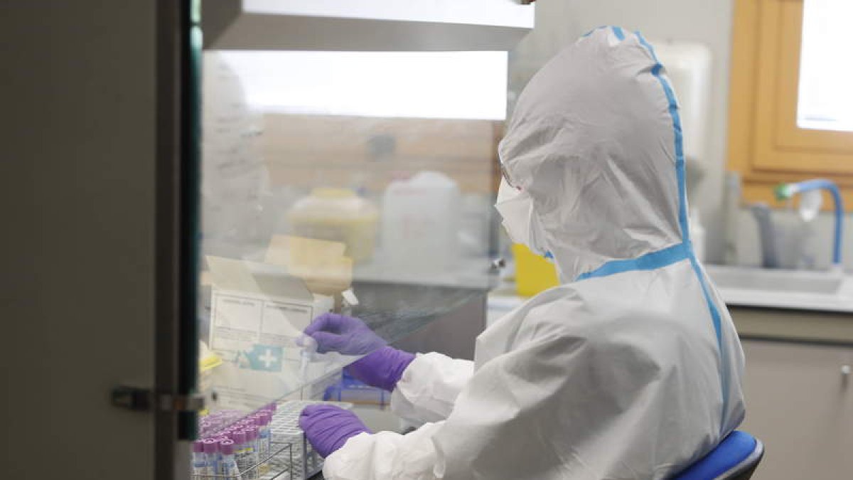 Una empleada del Laboratorio de Sanidad Animal ante las primeras PCR de Covid-19. RAMIRO