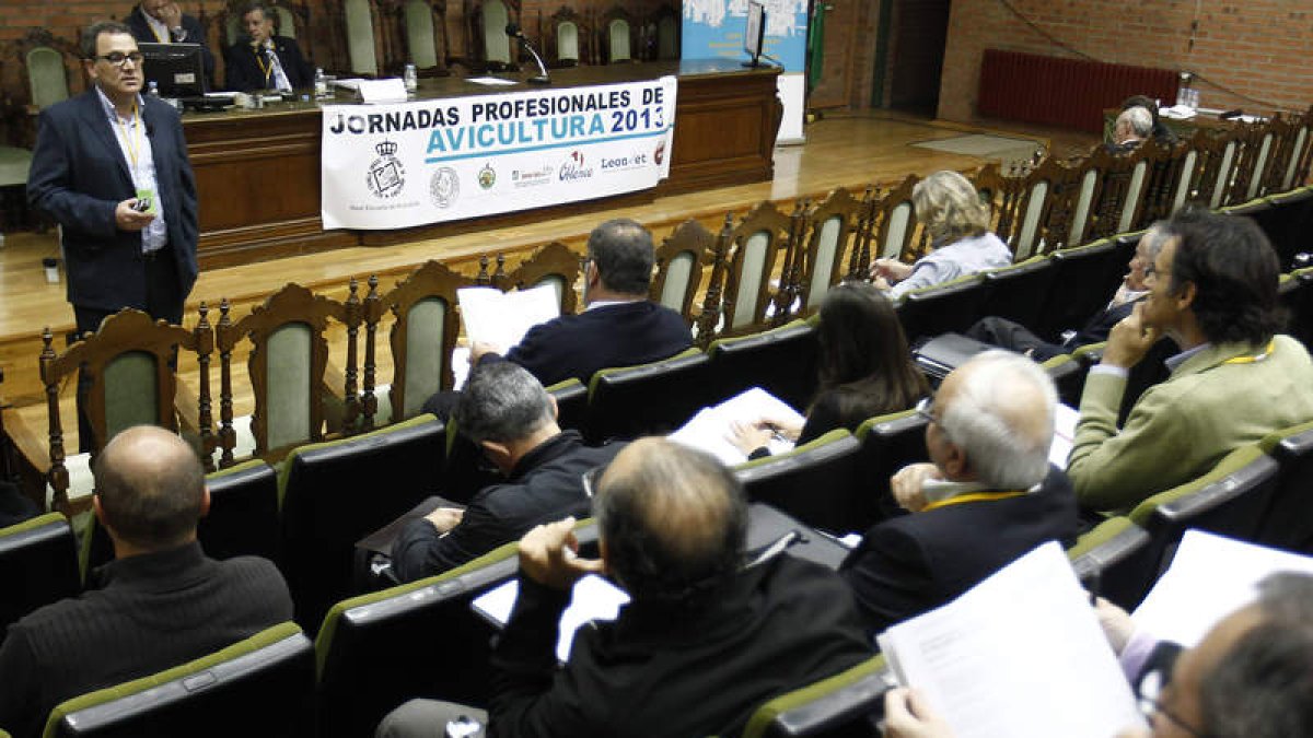 Primera sesión de las Jornadas, celebrada ayer en la Facultad de Veterinaría.