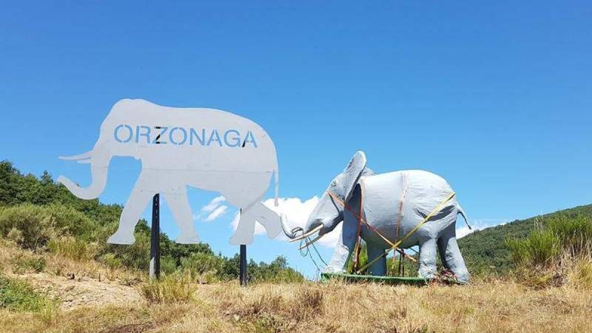 El elefante, el permanente y el que protagoniza la cacería, preparados para el gran día. DL