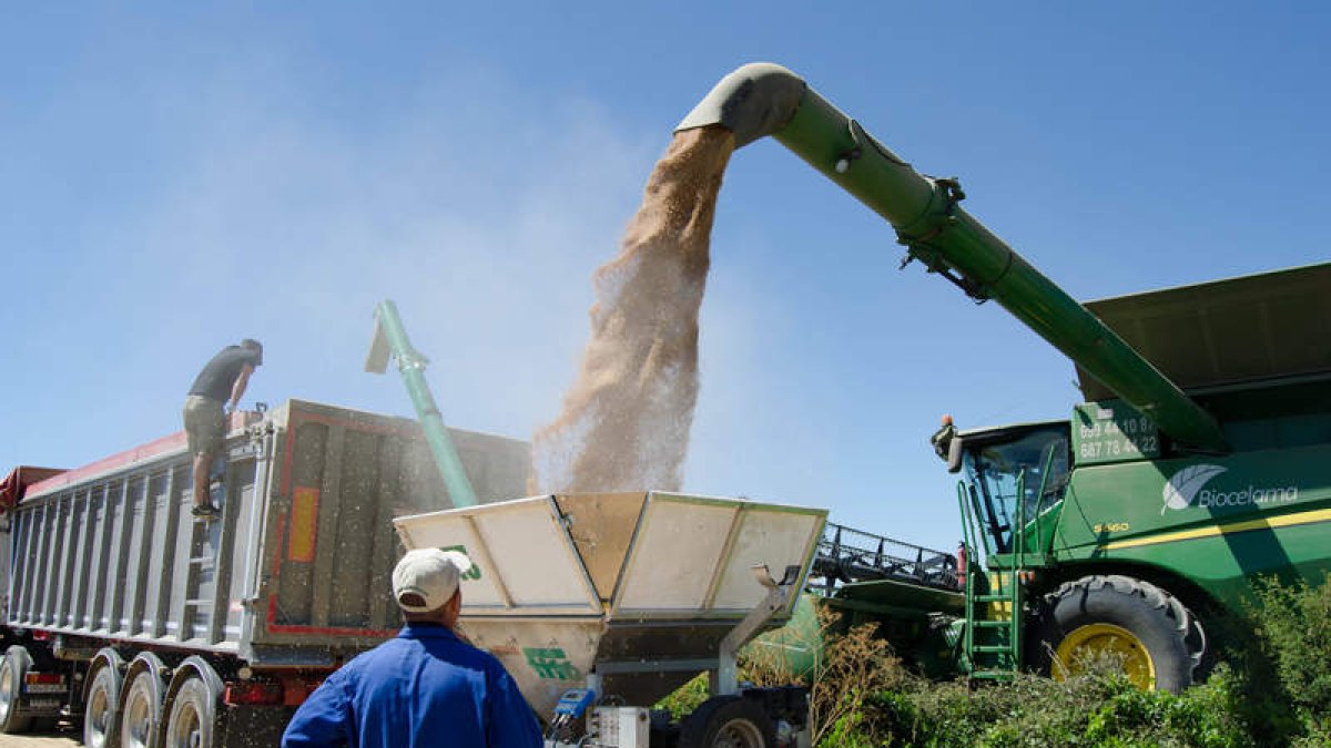 La agroindustria es uno de los principales sectores con problemas para encontrar profesionales. DL