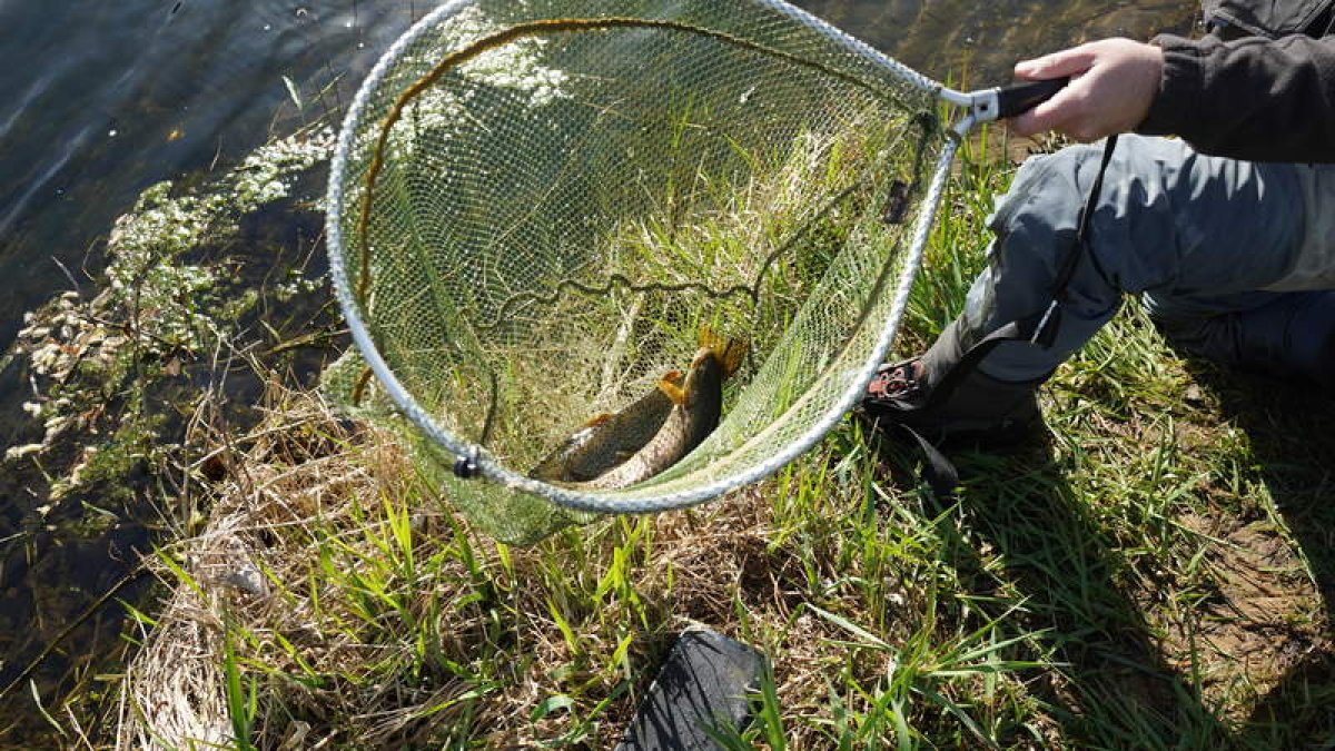 El río Órbigo suma una temporada más como uno de los más concurridos por los pescadores. J. NOTARIO
