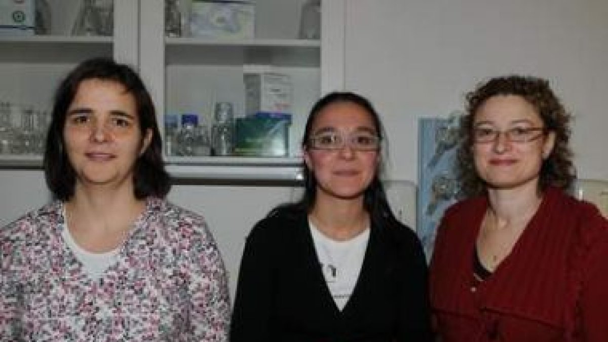 Las investigadoras: Gracia Merino, Rebeca Real y Margarita Marqués.