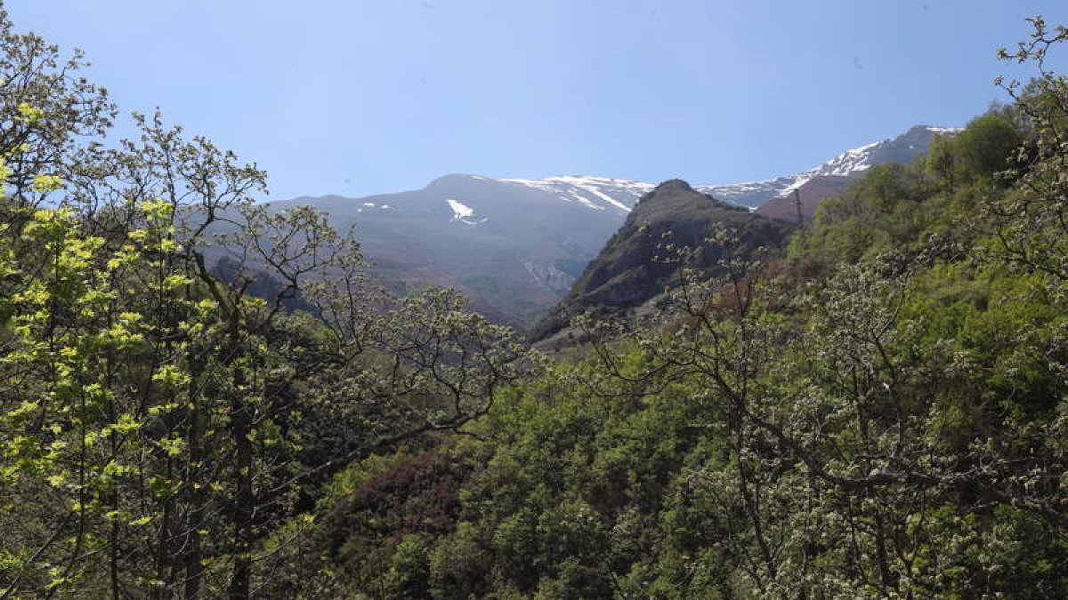 El Valle del Silencio es uno de los entornos naturales más sobresalientes del Bierzo y más promocionados por Ponferrada. ANA F. BARREDO