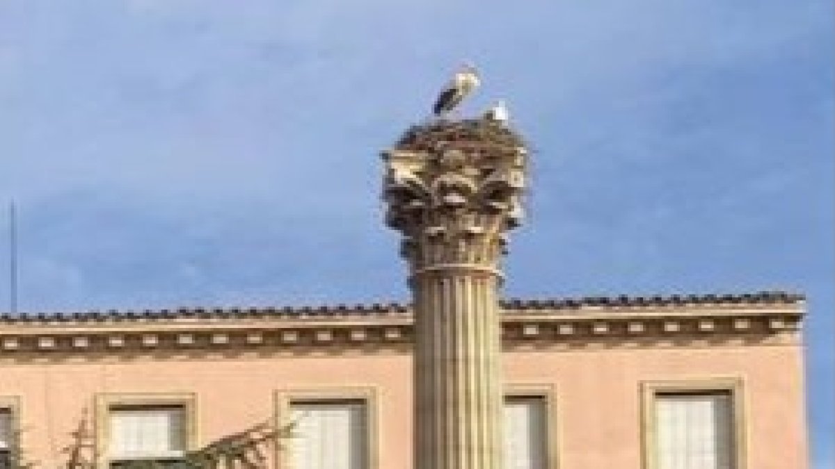 La pareja de cigüeñas ya ha llegado a San Isidoro. C.M.