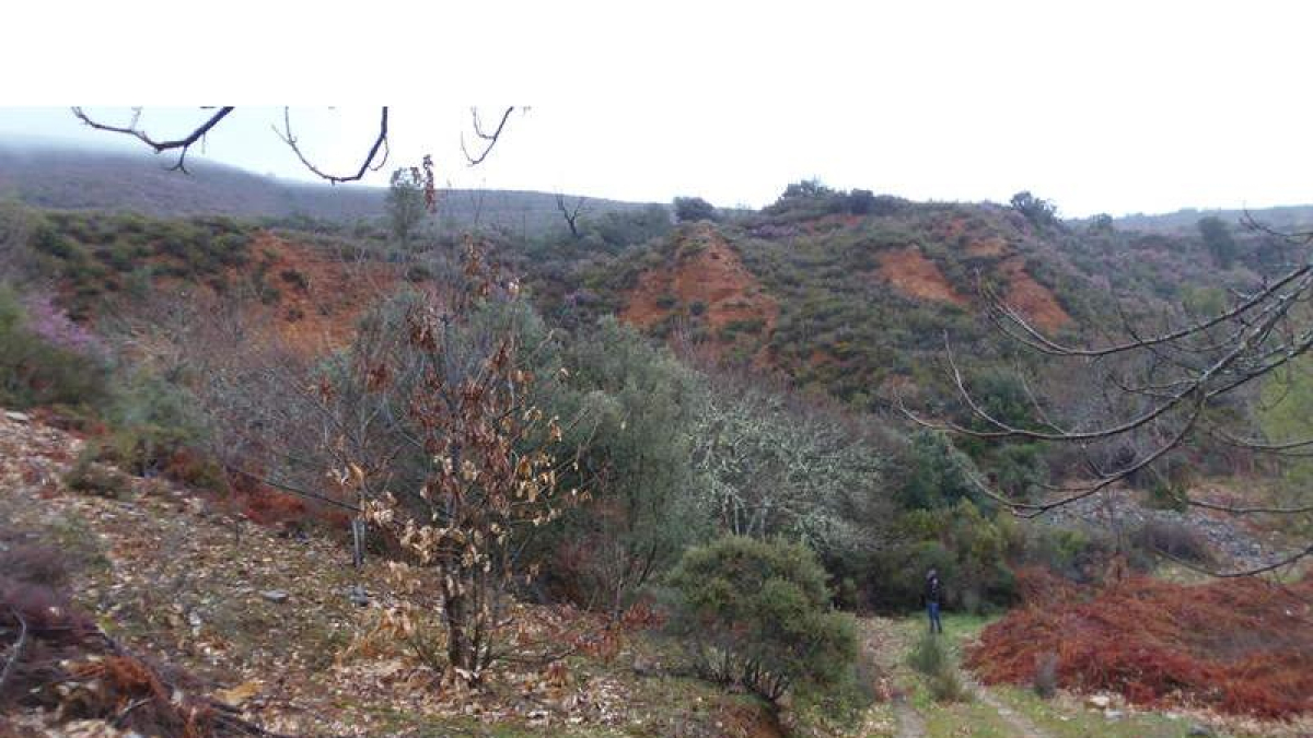 Explotación de los Lagos de Villabuena, en Cacabelos.