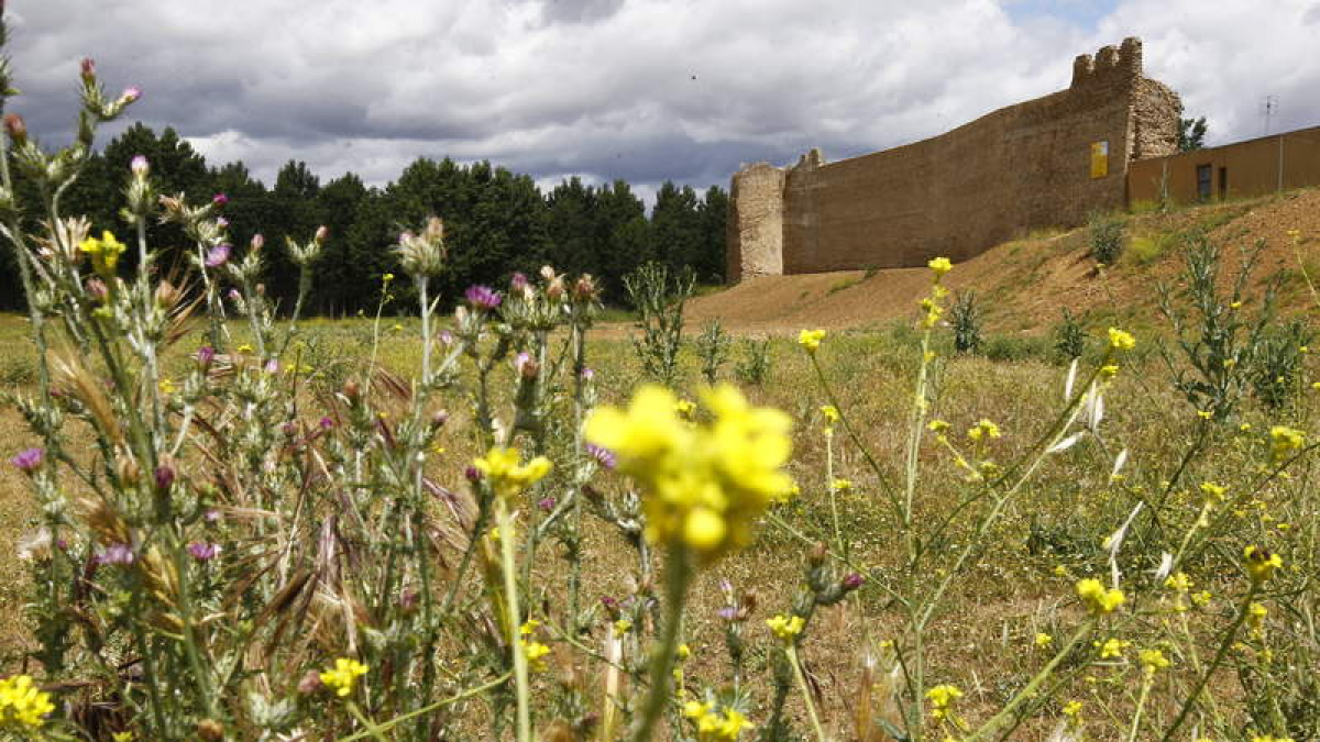 Este años, los comensales podrán disfrutar de las jornadas en la Alberguería del Camino, en El Gallo, en el Hórreo, en San Martín y en El Hórreo de la gula.