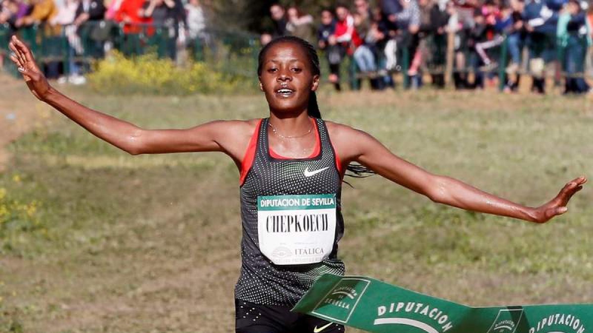 El dominio africano en Santiponce quedó refrendado con el triunfo de Jacob Kiplimo en categoría masculina y de Beatrice Chepkoech en la femenina. VIDAL