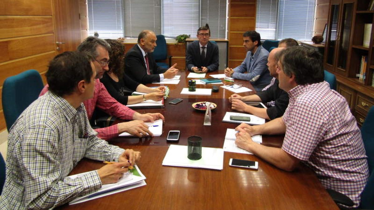 El director de Medio Natural, técnicos de Medio Ambiente y miembros de la Mesa del Castaño. DL