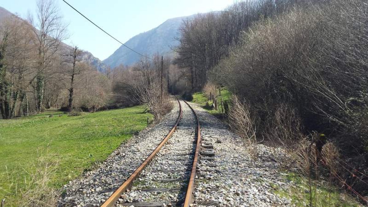 Un tramo de la histórica línea ferroviaria entre Ponferrada y Villablino. DL