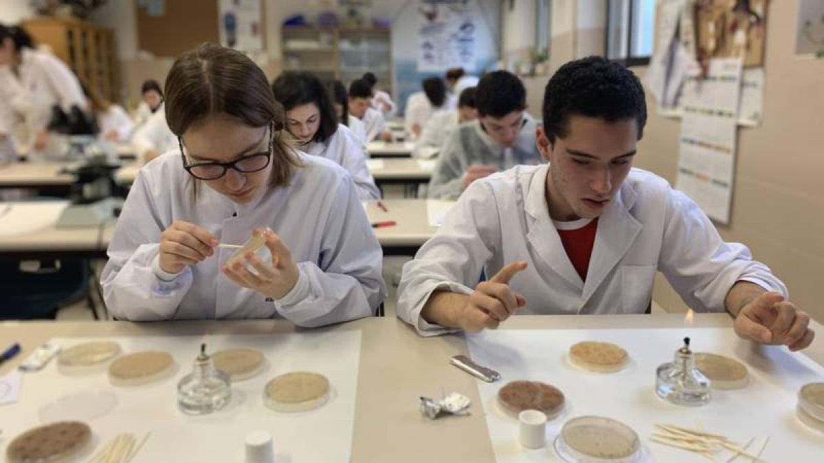 Imagen de alumnos competentes con las mejores herramientas e instalaciones. DL