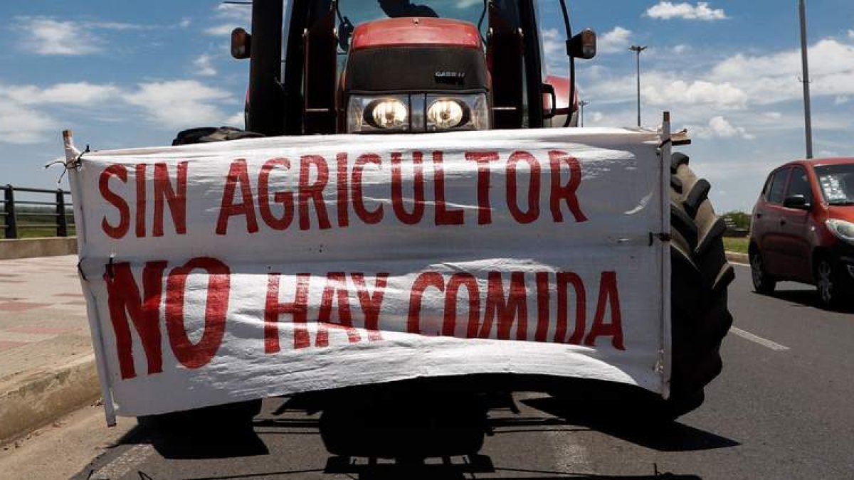 Reivindicación sobre el papel de la agricultura que nunca pierde actualidad. efe
