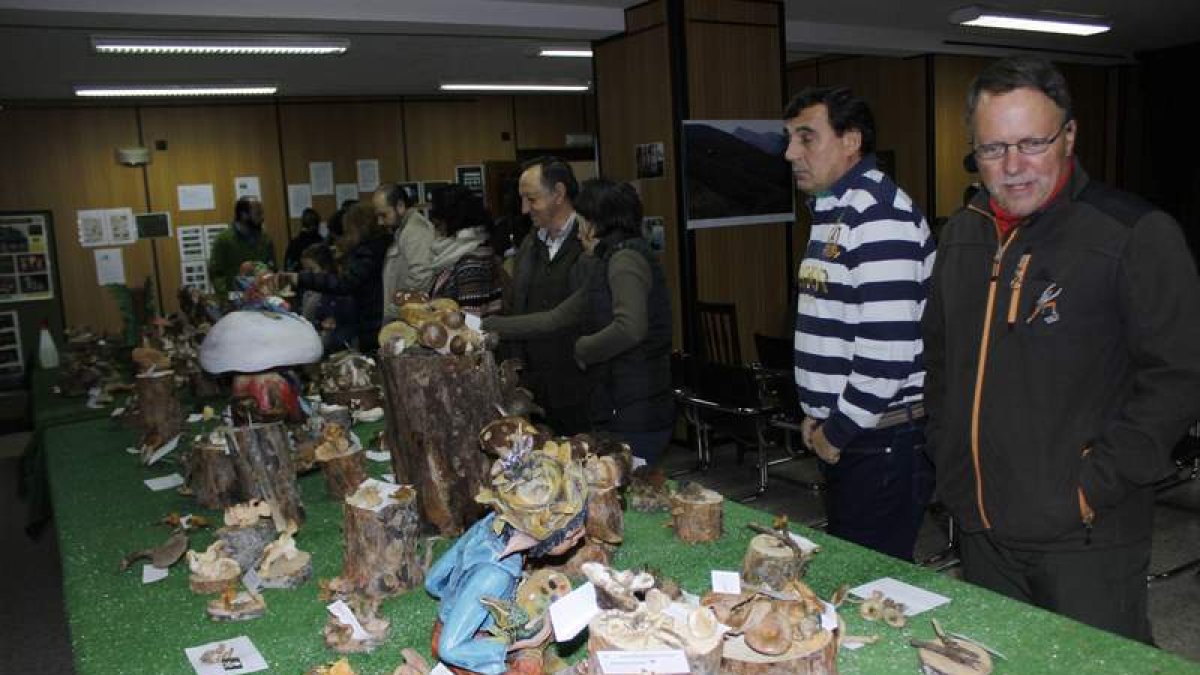 La exposición de setas contó con duendes y troncos de árboles con decoración.