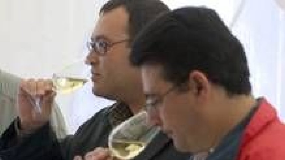 El consumo moderado de vino es beneficioso para la salud
