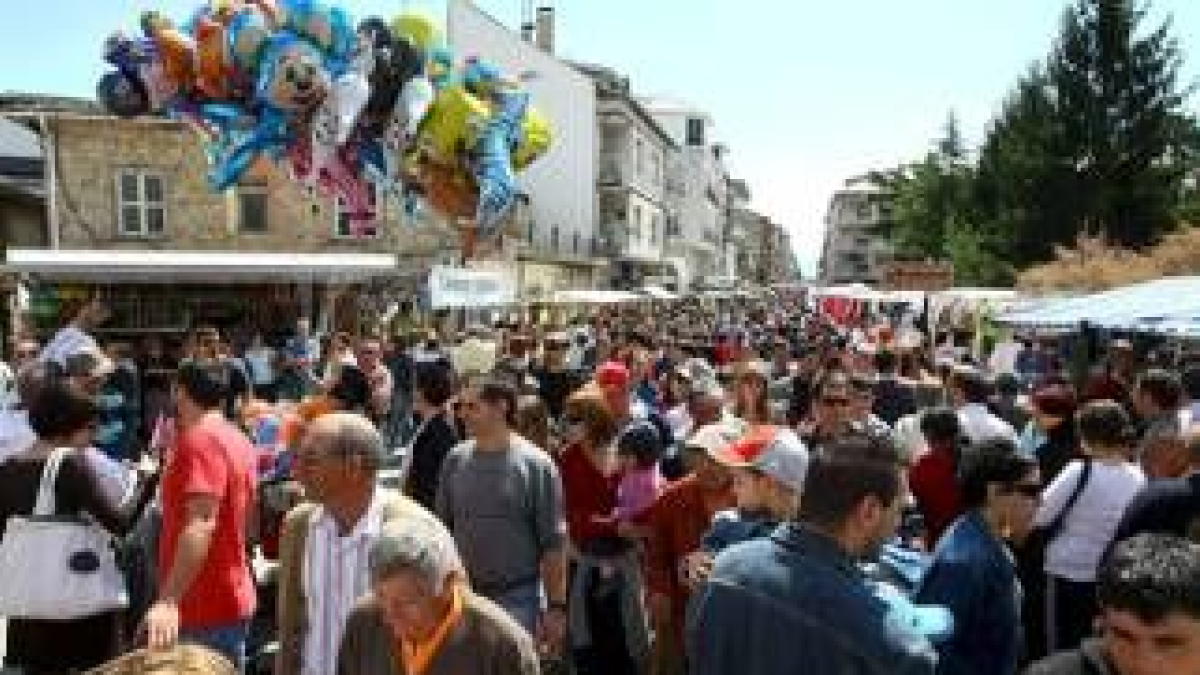 La muestra de ganado equino también despertó interés