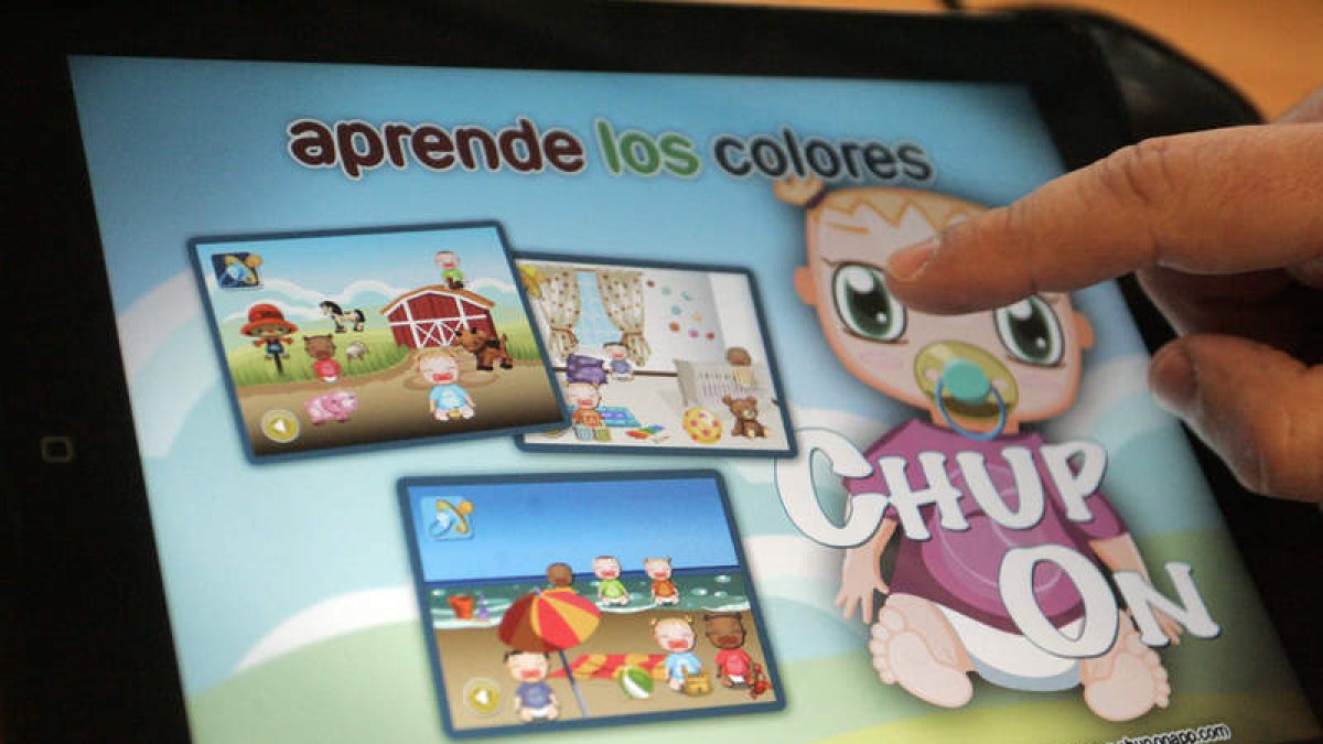 Imagen de la aplicación informática.