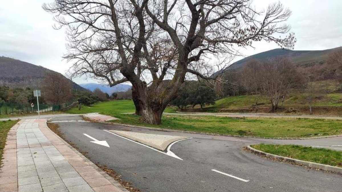 Estado actual de las instalaciones del cámping de Páramo del Sil. DL