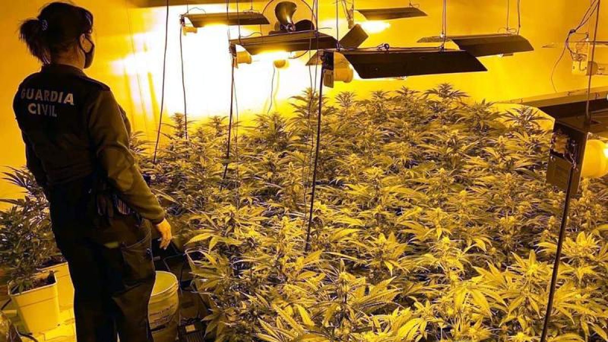 Lugar en que se encontraba la plantación en una vivienda no habitada de Pobladura de Pelayo García. DL