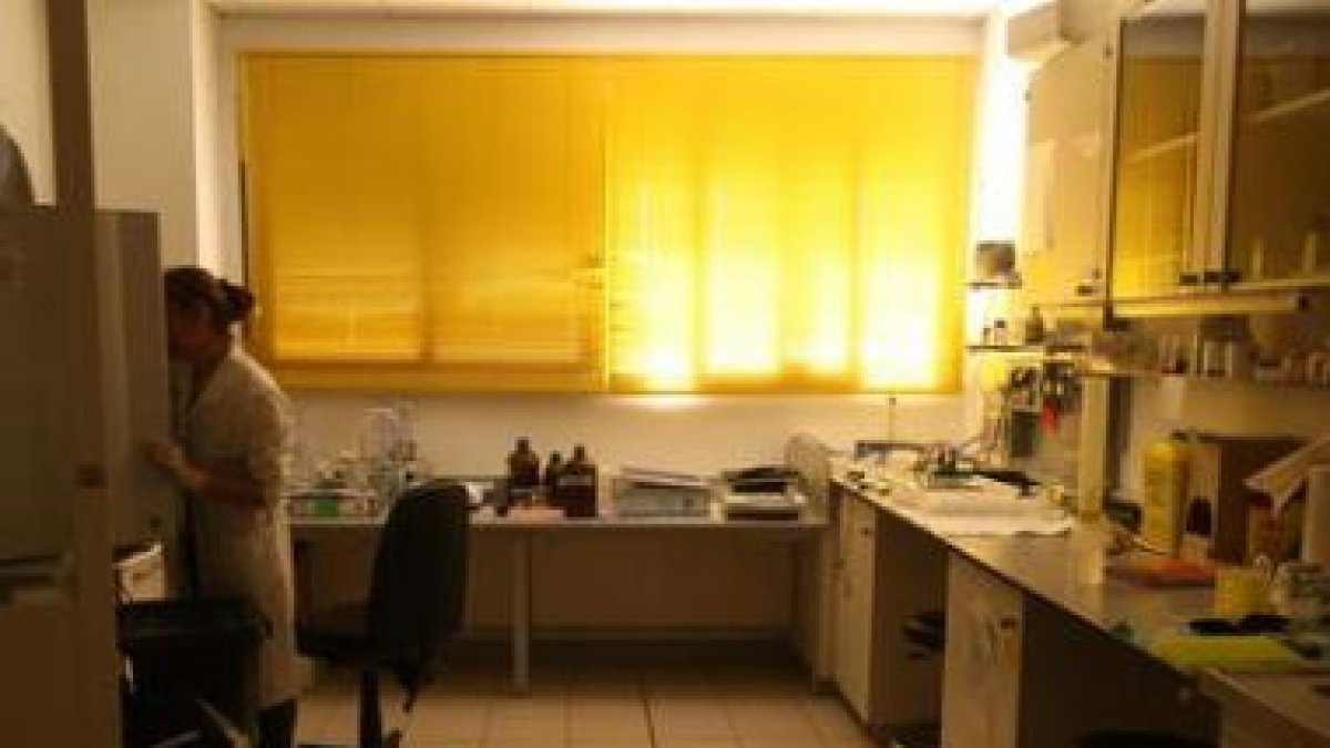 El Instituto de Biomedicina tutelará este nuevo máster.