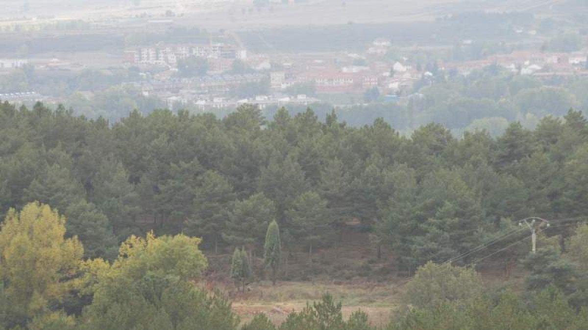Vista de la zona alta del parque, desde donde habrá un segundo acceso.