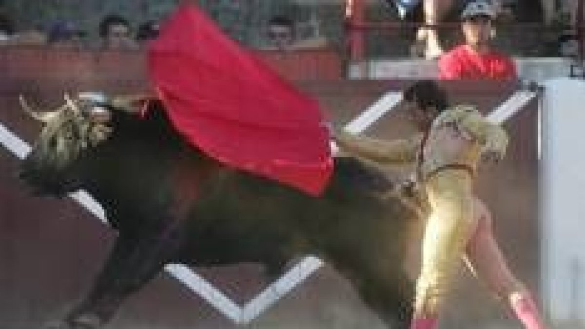 José Padilla torea de muleta al primer toro que le correspondió en suerte