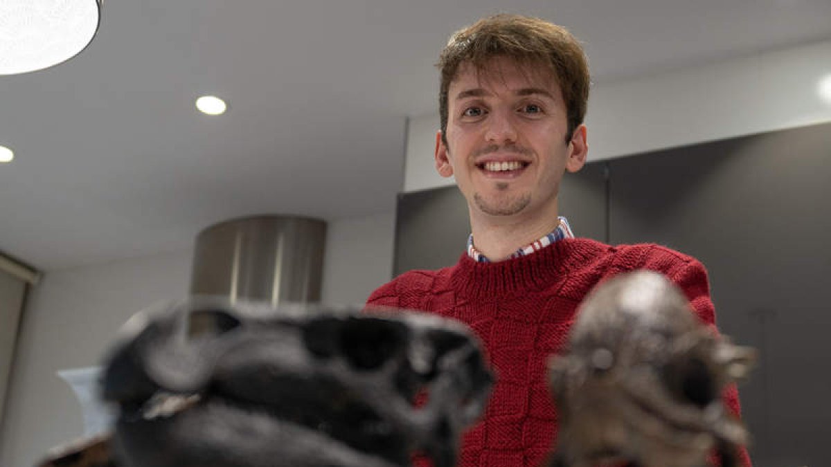 El ecólogo Jorge García Girón con dos réplicas de cráneos de dinosaurio, una de sus pasiones. MIGUEL F. B.