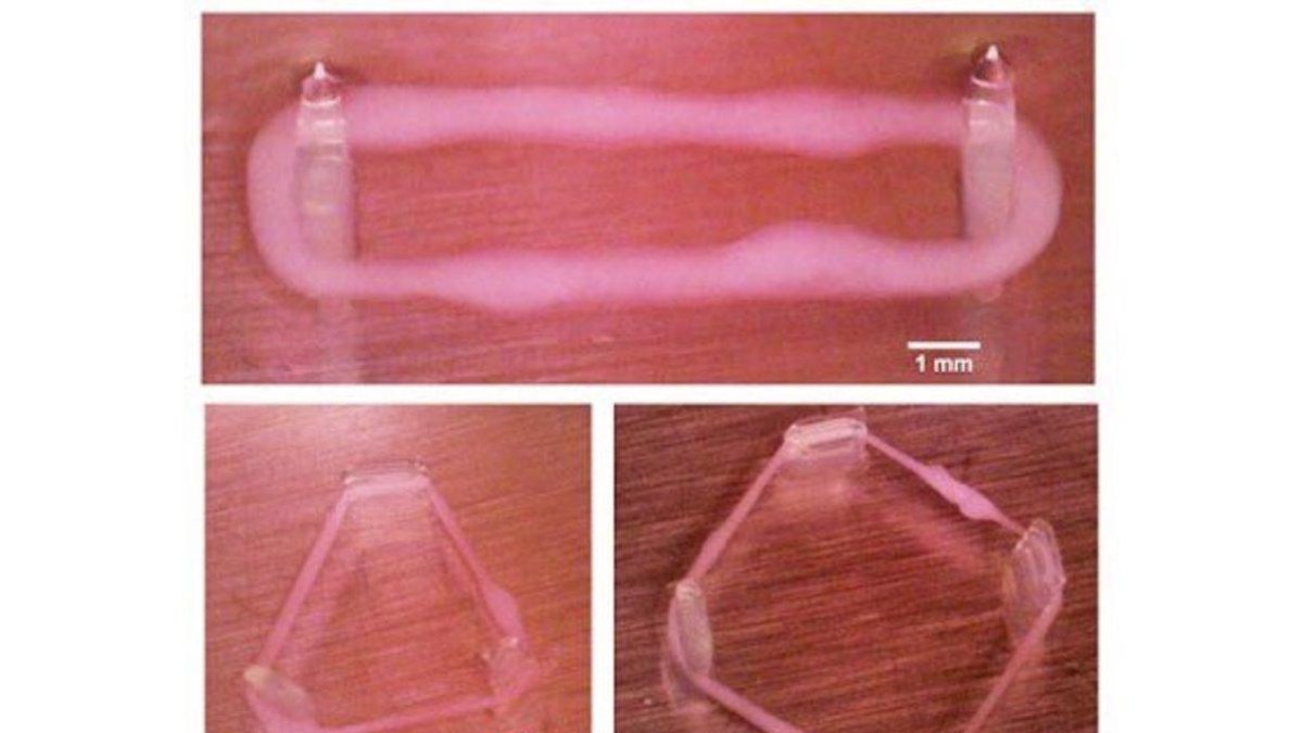 Nanorrobots con material muscular creado a partir de impresión 3D.