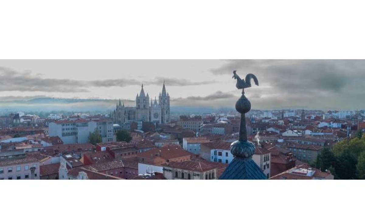 Gallo de San Isidoro. FOTO VISUAIR