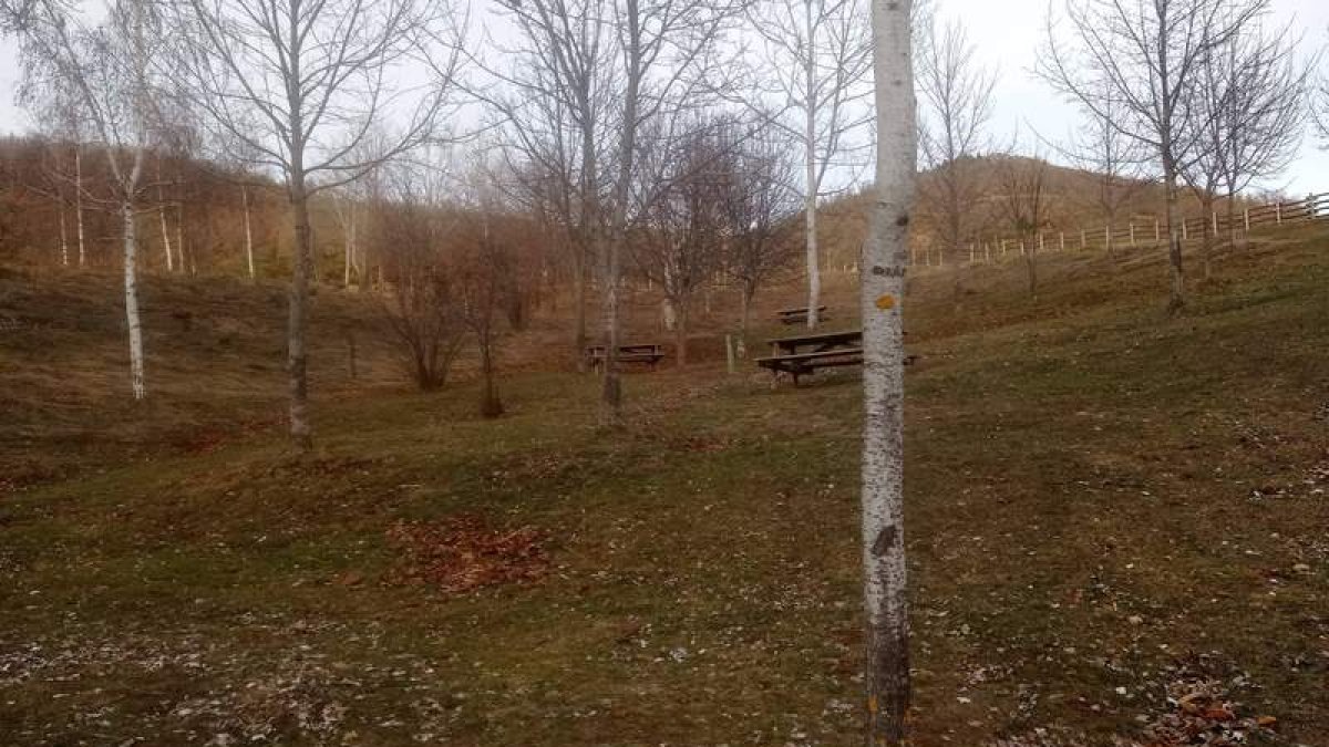 Alguna de las escenas que rodean el nacimiento del río Cea, en la faldas del Pando, cabecera de un ecosistema natural del que viven más de ciento sesenta kilómetros de cauce fluvial, y que acompaña al río en el curso que toma desde que ve la luz en los Pandos de Prioro. Esta es la aportación de uno de los lugares únicos de León a la riqueza de la provincia