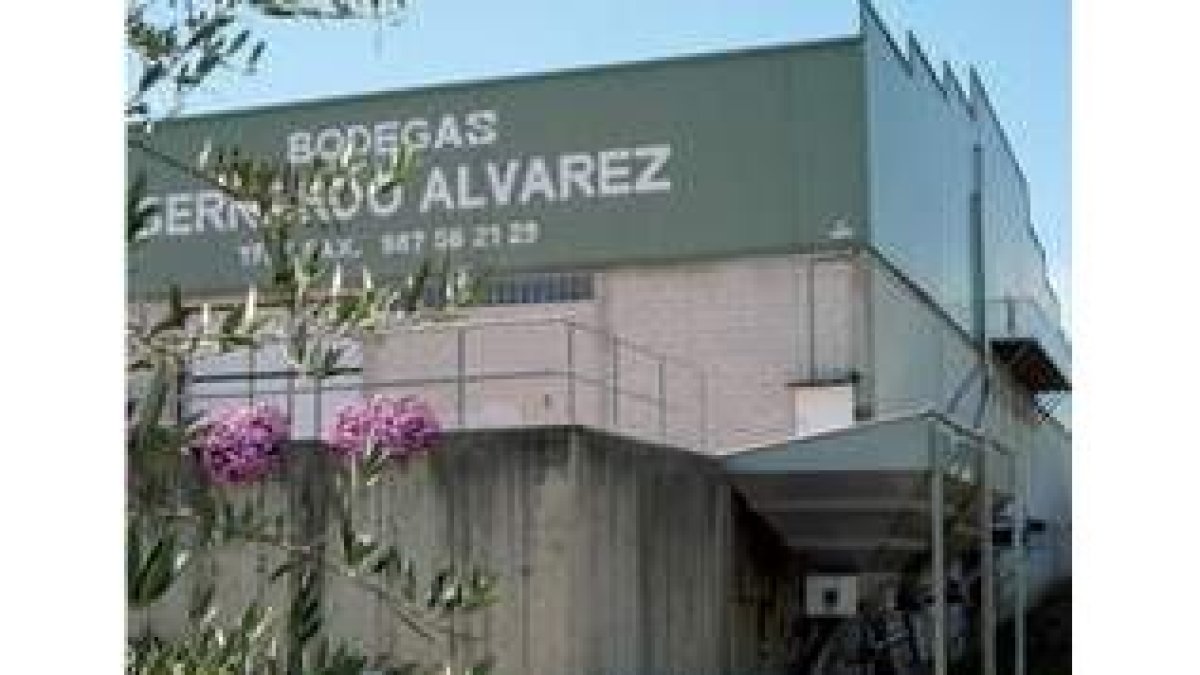Aspecto de la bodega desde la zona a la que llega la uva en uno de los laterales.