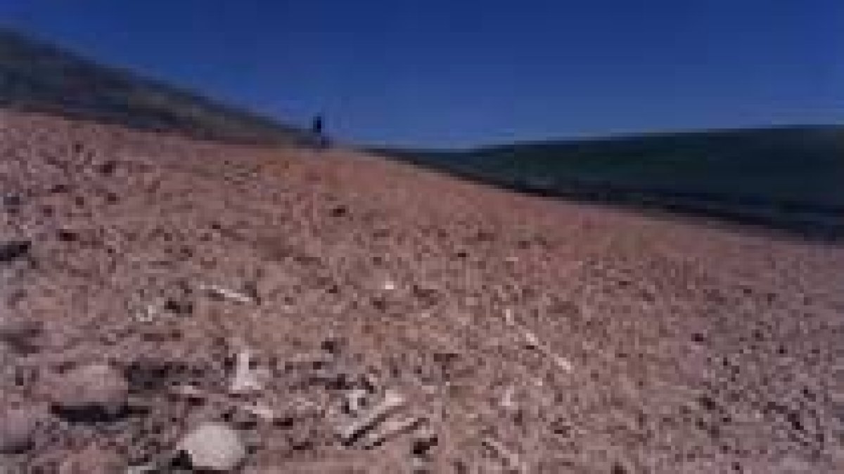 La destrucción y desolación que provoca una guerra aparecen en esta novela