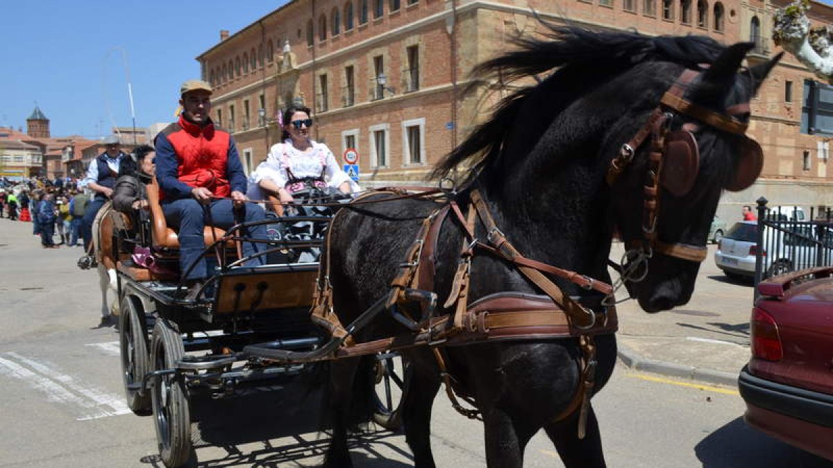 Un carro tirado por un espectacular caballo con el edificio del seminario al fondo. MEDINA