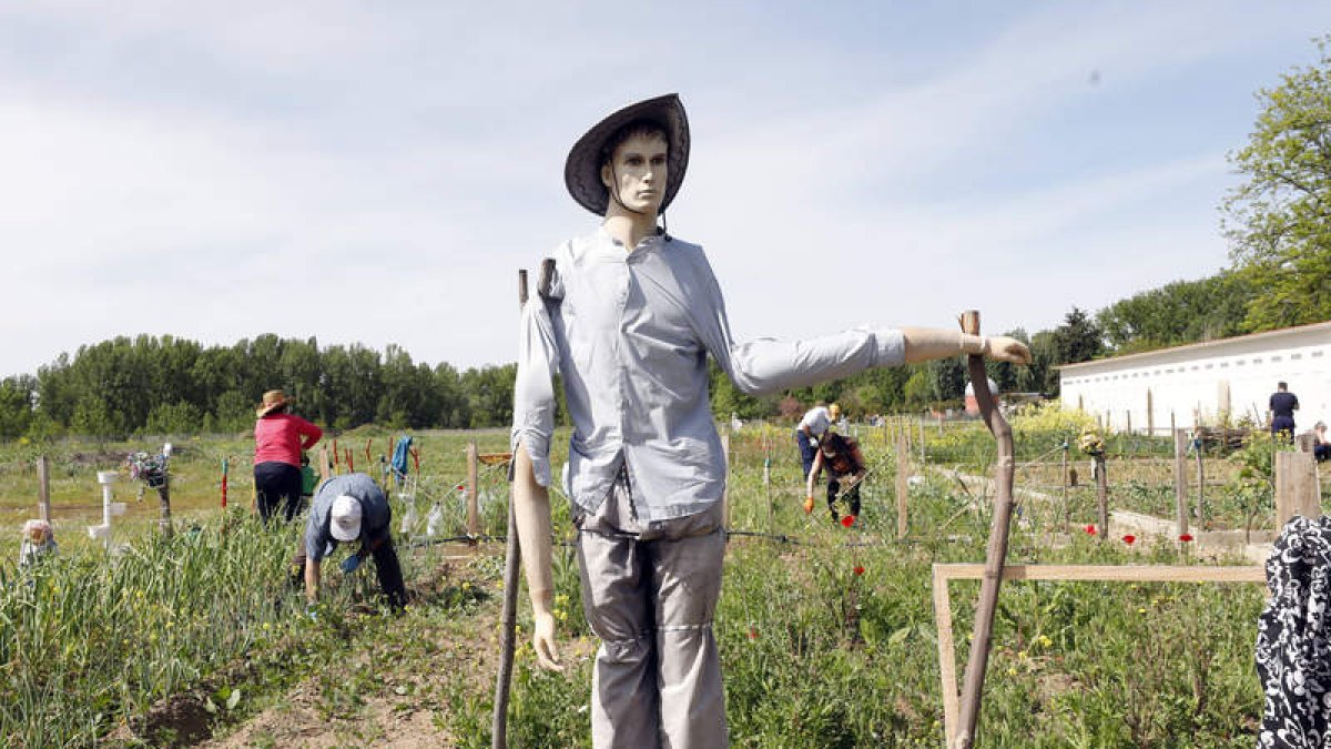 Los huertos se crearán contiguos a los que hay ya junto al coto escolar. MARCIANO PÉREZ
