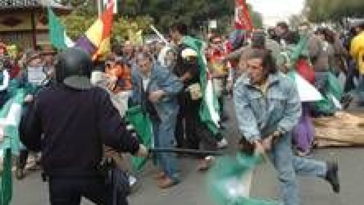 Durante la manifestación se produjeron varios enfrentamientos