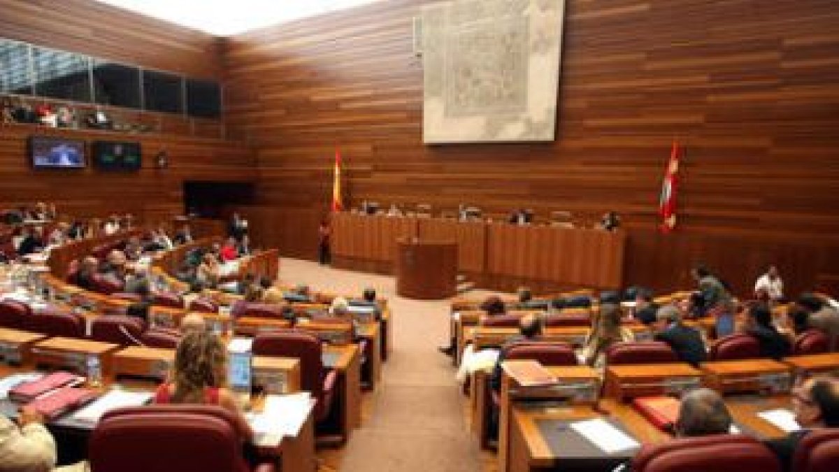 Panorámica durante la celebración de uno de los plenos en las Cortes de Castilla y León.