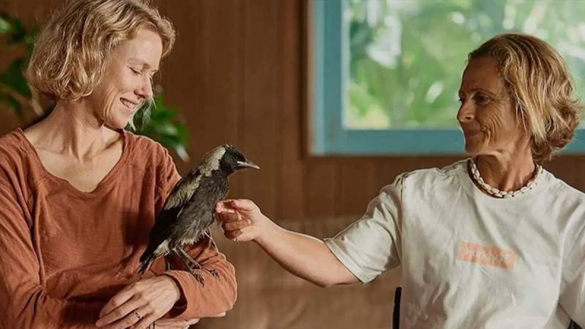 La actriz Naomi Watts protagoniza ‘La familia Bloom’. DL