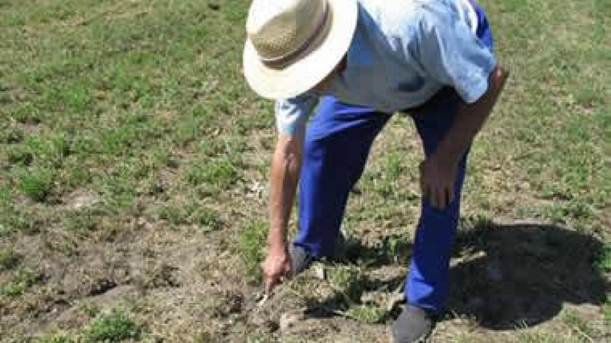 Imagen de archivo de un agricultor en la montaña oriental.