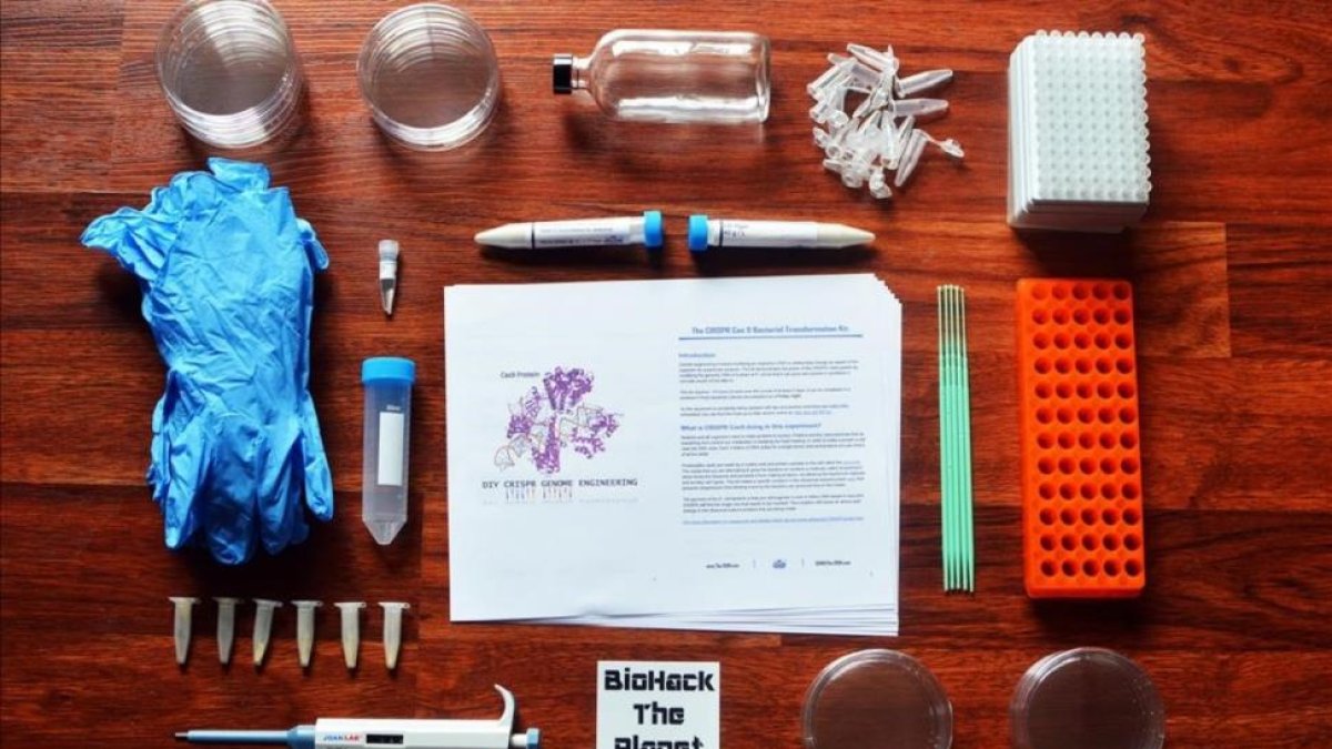 Kit para crear bacterias transgénicas en casa con la tecnologia CRISPR, comercializado por la empresa laboratorio The Odin.